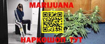 гидропоника Канаш