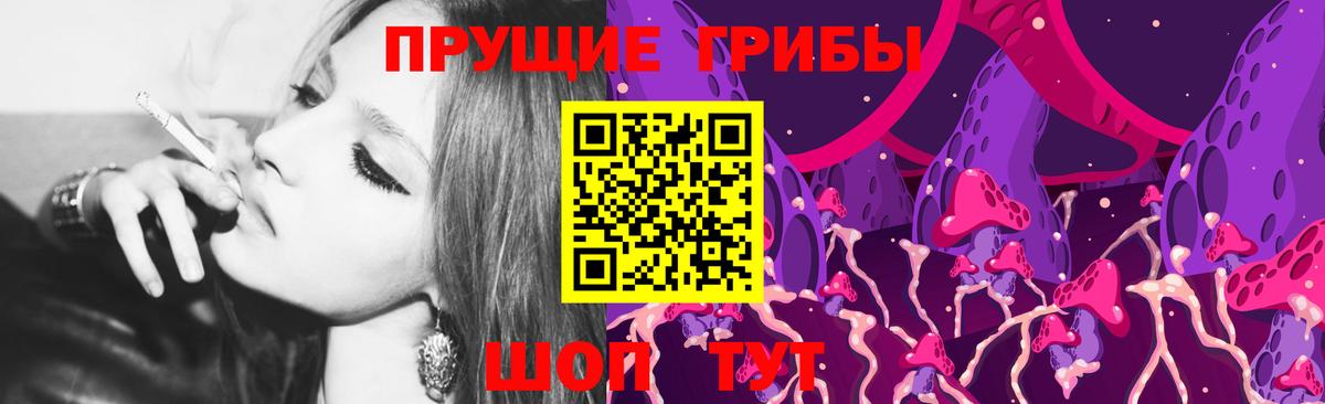 Кызыл  Псилоцибиновые грибы Psilocybe  Вход с VPN 