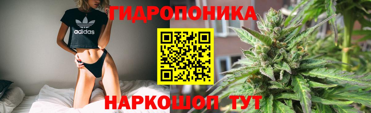 Бошки марихуана VHQ Кызыл